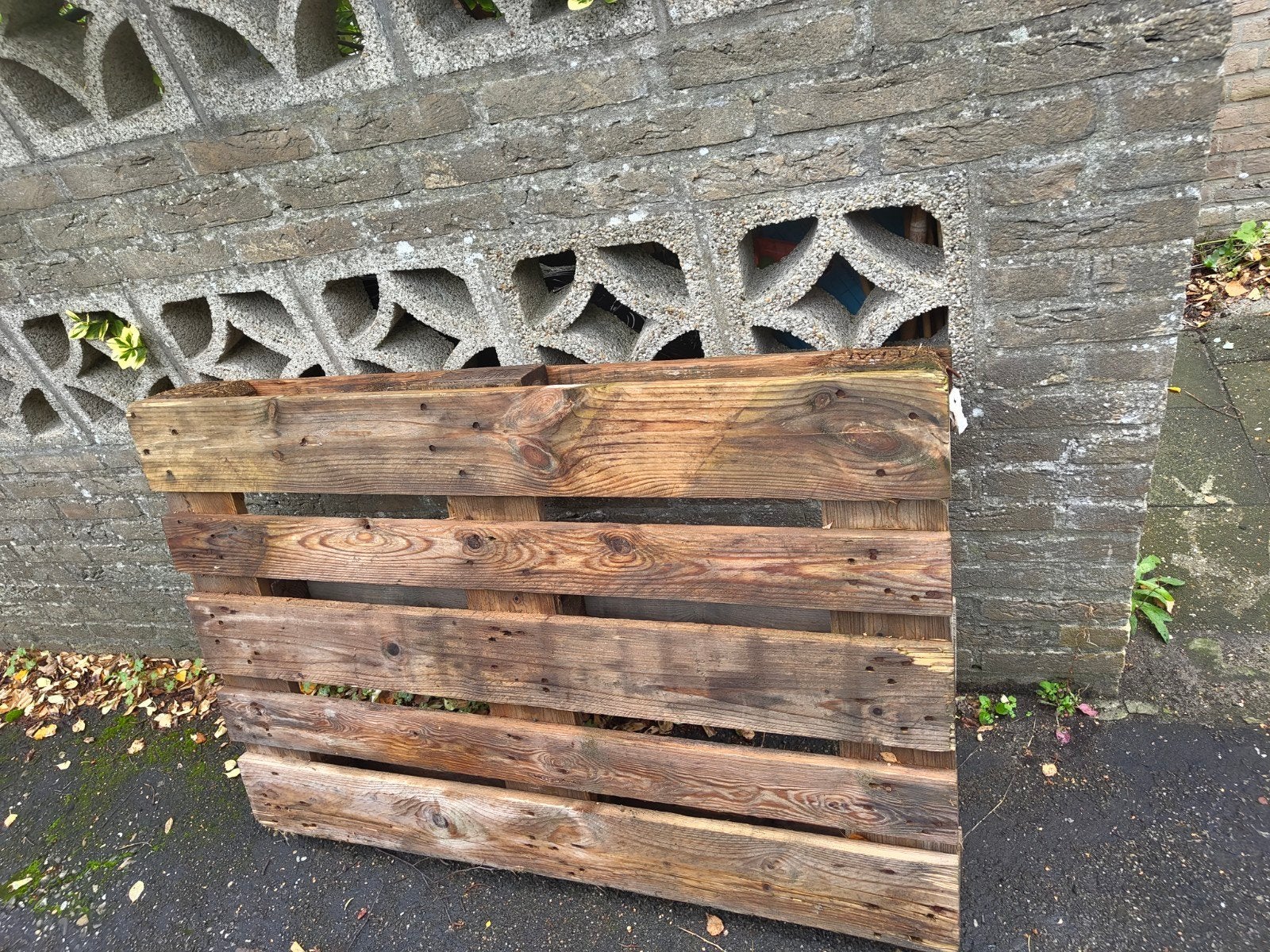 Gebruikte houten pallets, Ophalen, Gebruikt, 50 mm of meer, Pallet