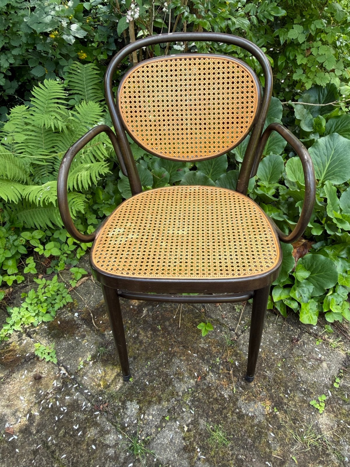 Set van 4 Thonet 79 stoelen met armleuningen, Antiek en Kunst, Ophalen