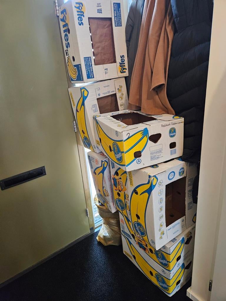 2 lege bananendozen - Ideaal voor verhuizing of opslag, Ophalen, 40 tot 60 cm, 50 tot 75 cm, 35 tot 50 cm