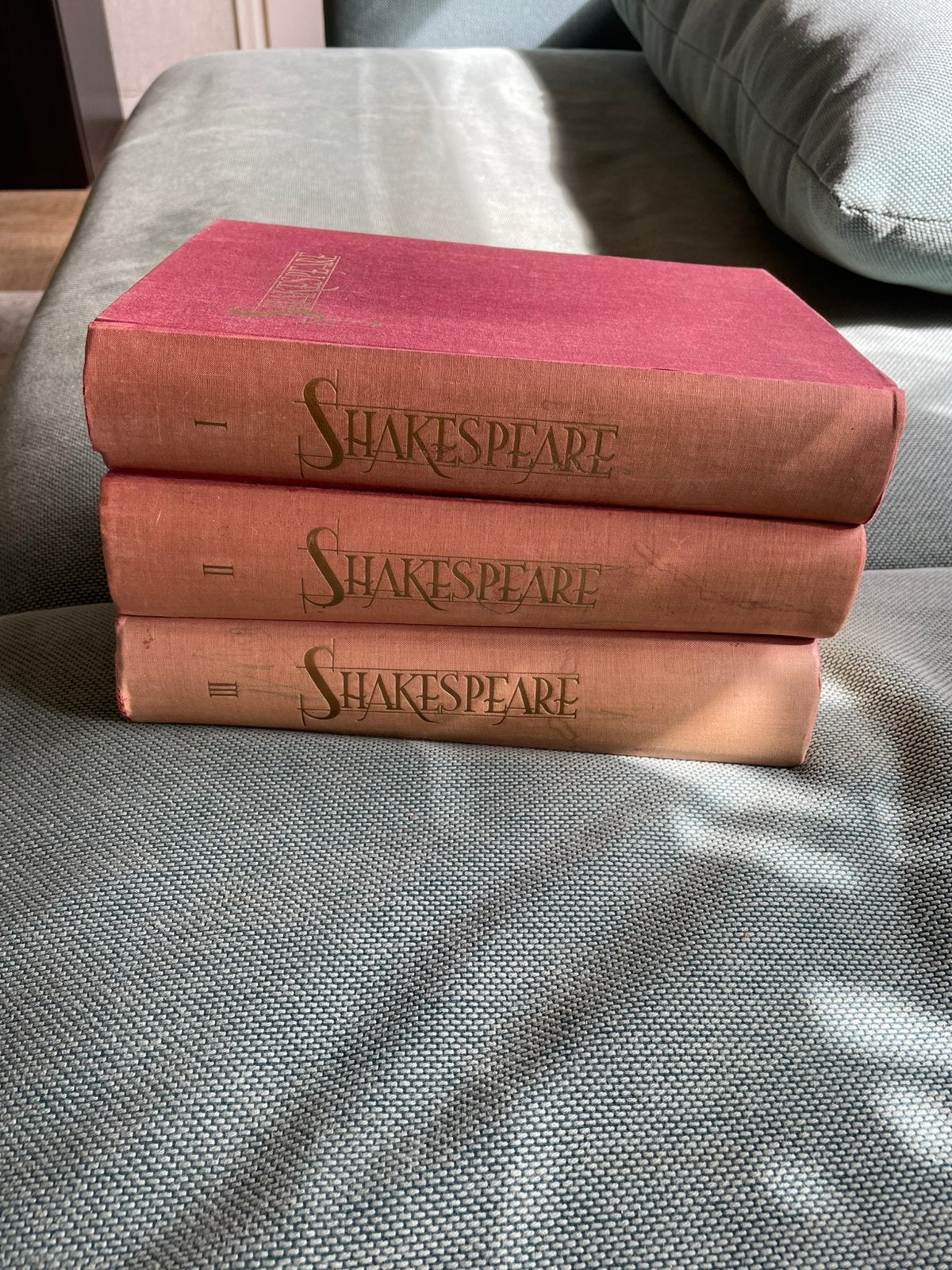 Shakespeare, Ophalen of Verzenden, Gelezen