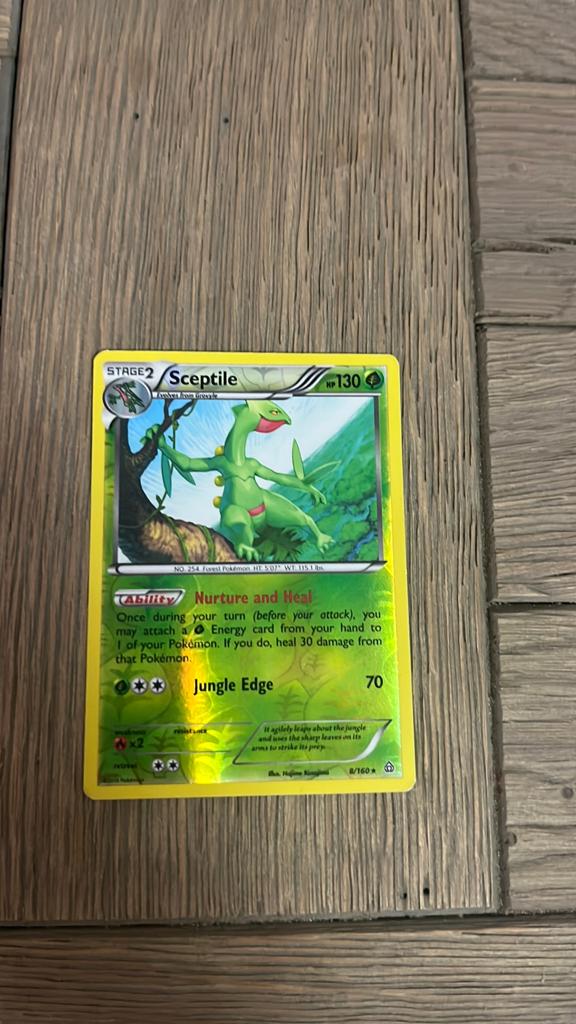 Sceptile 8/160 reverse holo pokemon primal clash goede staat, Ophalen of Verzenden, Zo goed als nieuw, Losse kaart, Foil