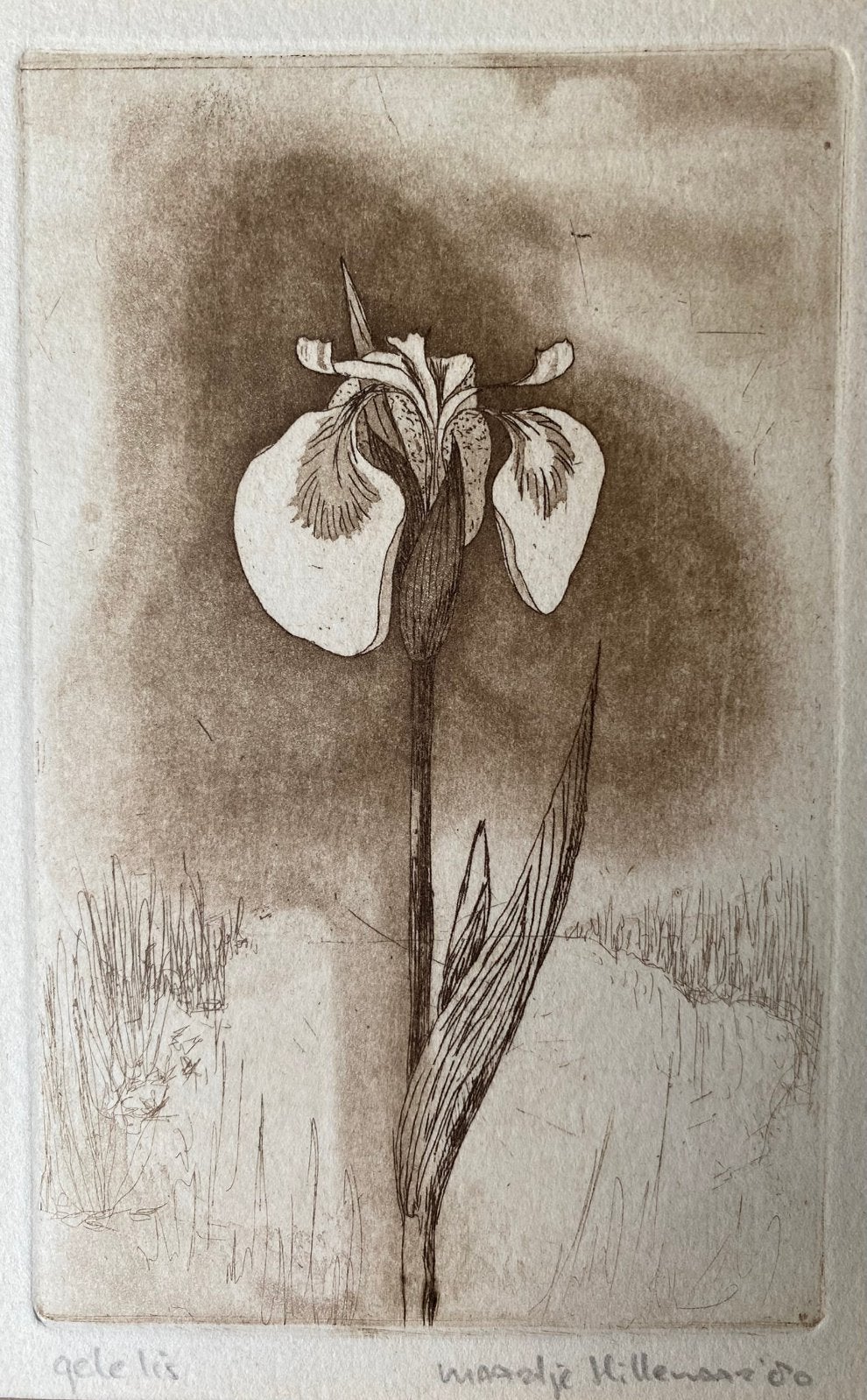 Ets Maartje Hillenaar, Ophalen of Verzenden