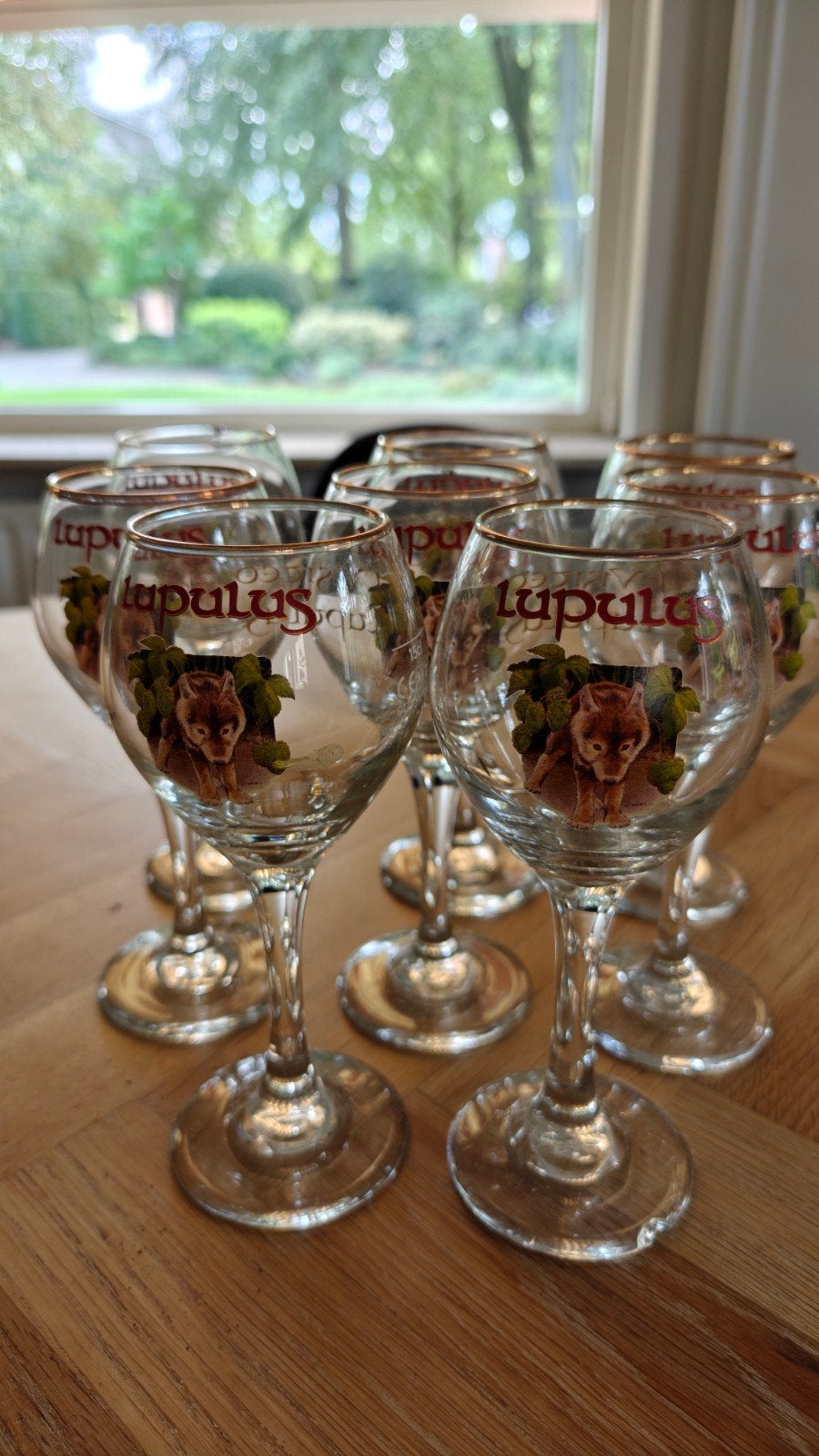 Set van 8 Lupulus bierglazen - 15cl, Ophalen of Verzenden, Zo goed als nieuw, Glas, Overige stijlen