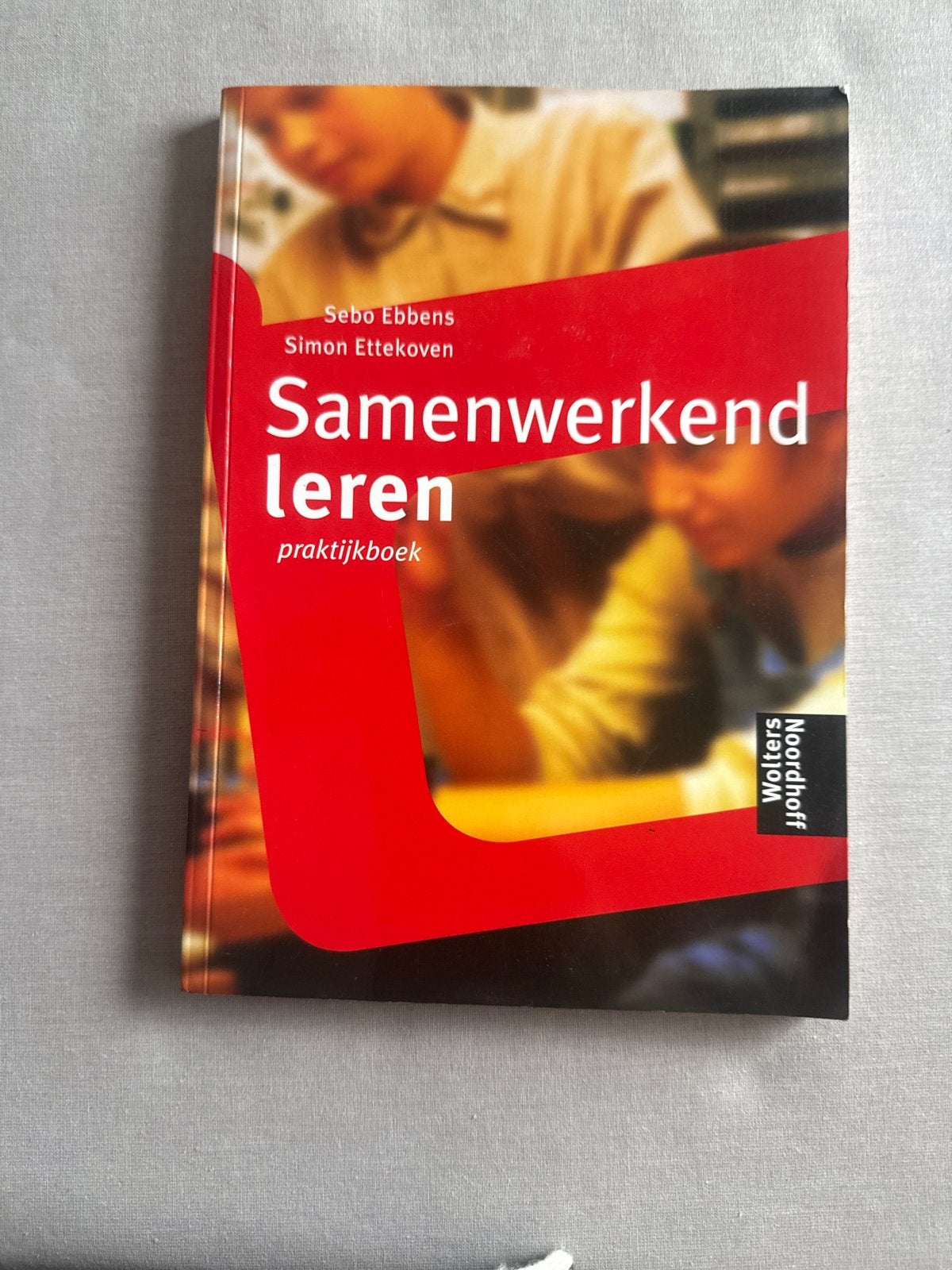Samenwerkend leren: praktijkboek voor docenten, Boeken, Ophalen of Verzenden, Gamma, Zo goed als nieuw, HBO