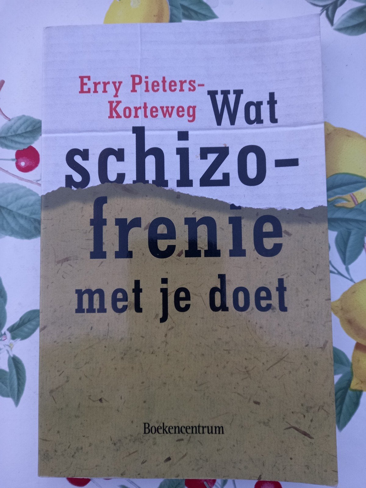 M12 E. Pieters-Korteweg - Wat schizofrenie met je doet, E. Pieters-Korteweg, Ophalen of Verzenden, Ontwikkelingspsychologie, Zo goed als nieuw