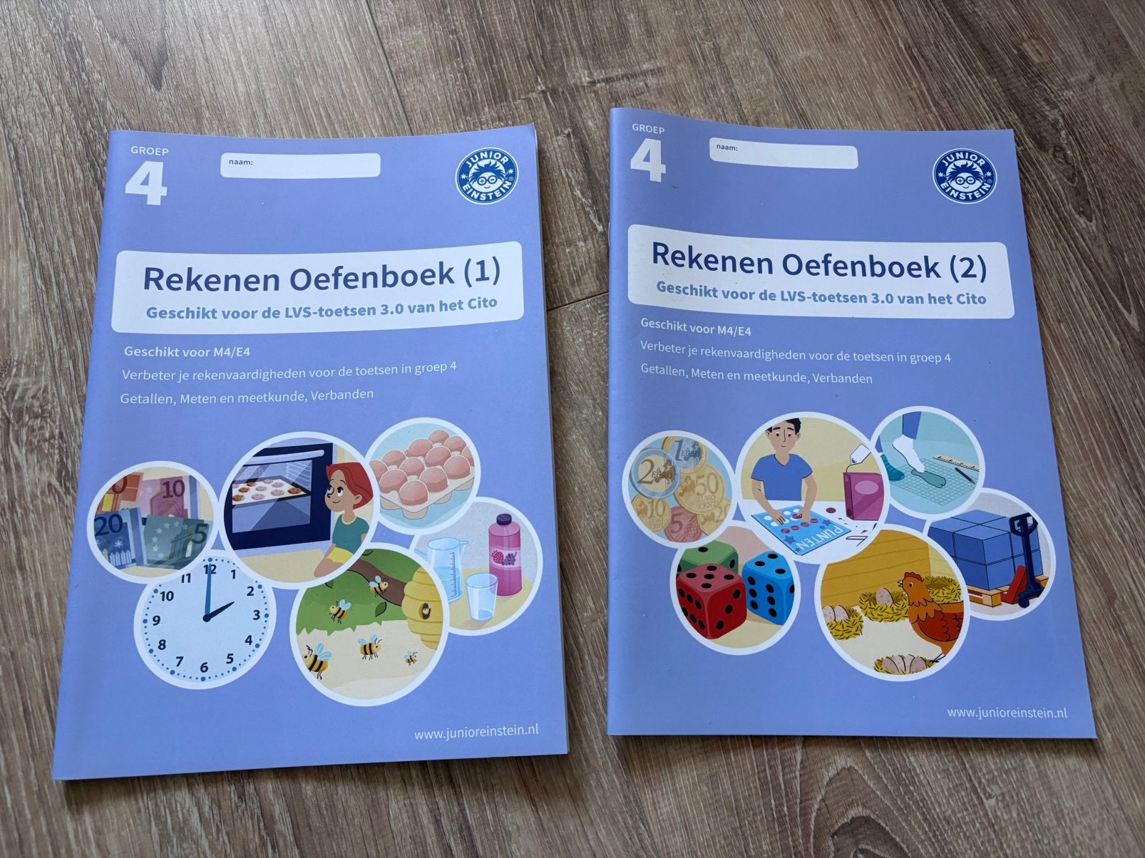 Junior Einstein Rekenoefenboek groep 4, Ophalen of Verzenden, Gelezen, Overige niveaus