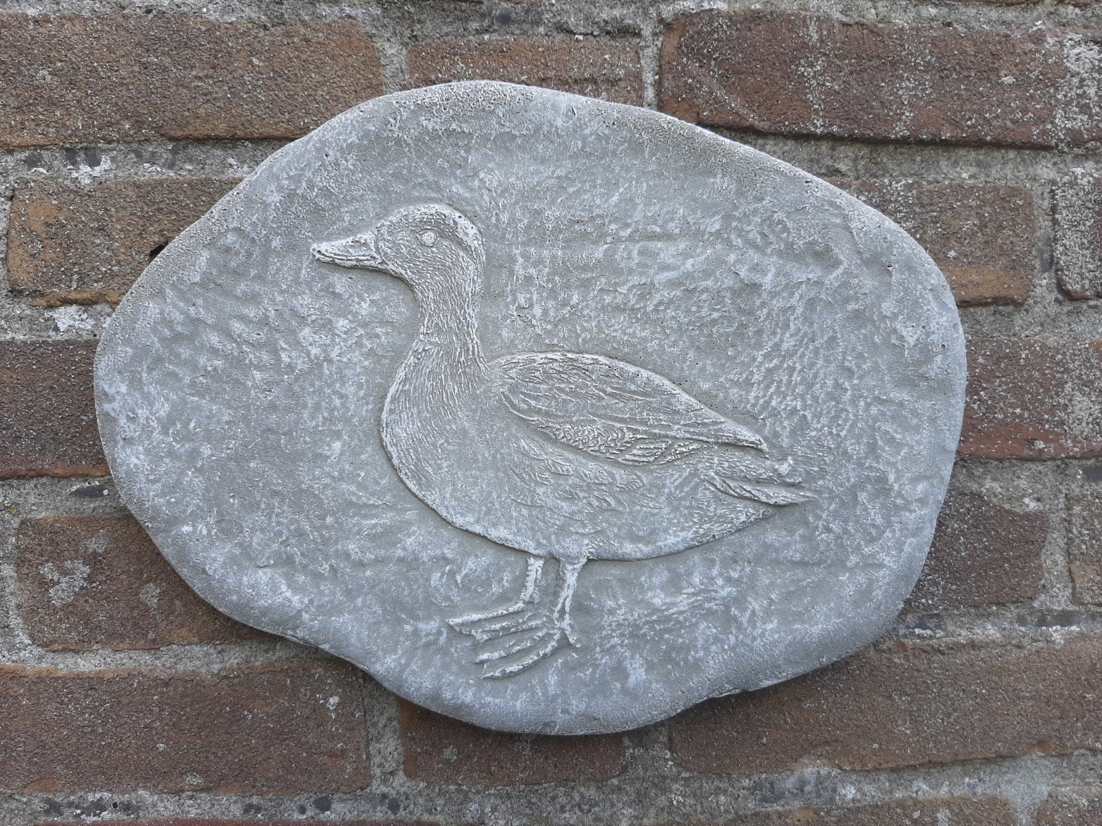 Eend wanddecoratie betonnen beeld tuinbeeld beton, Ophalen of Verzenden