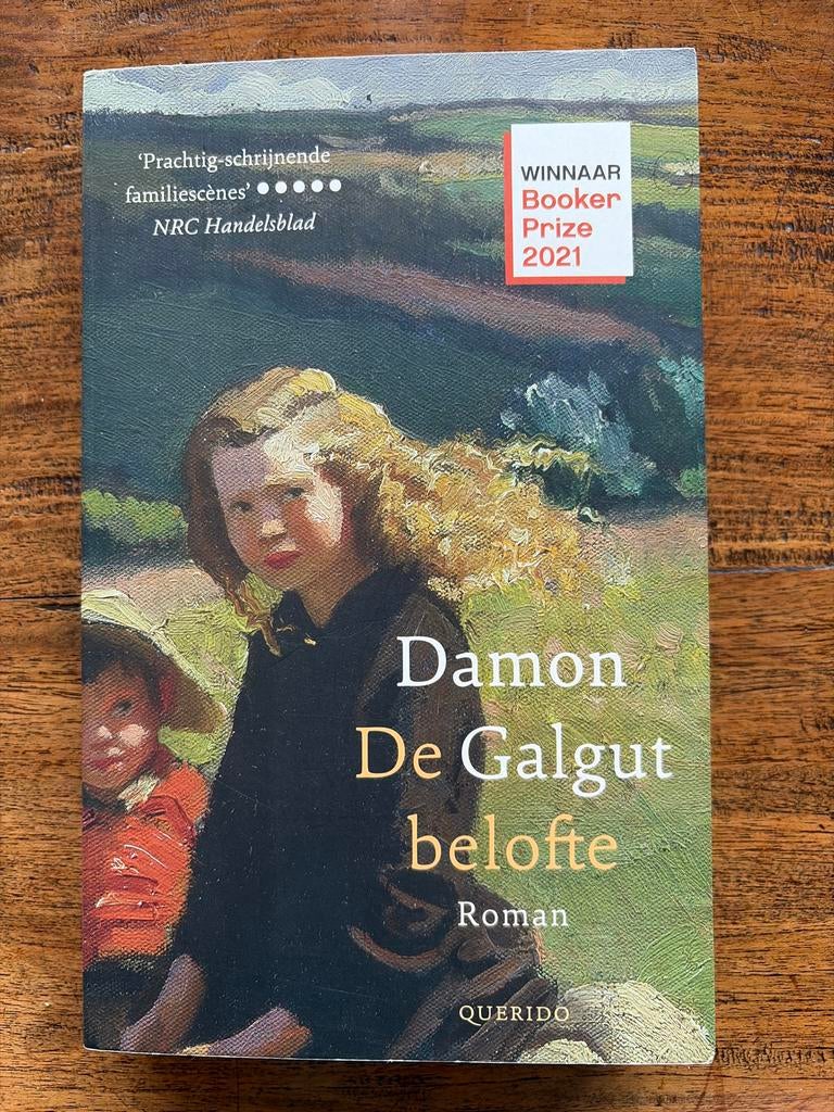 De belofte - Damon Galgut (roman, Booker Prize 2021), Ophalen of Verzenden, Zo goed als nieuw, Europa overig