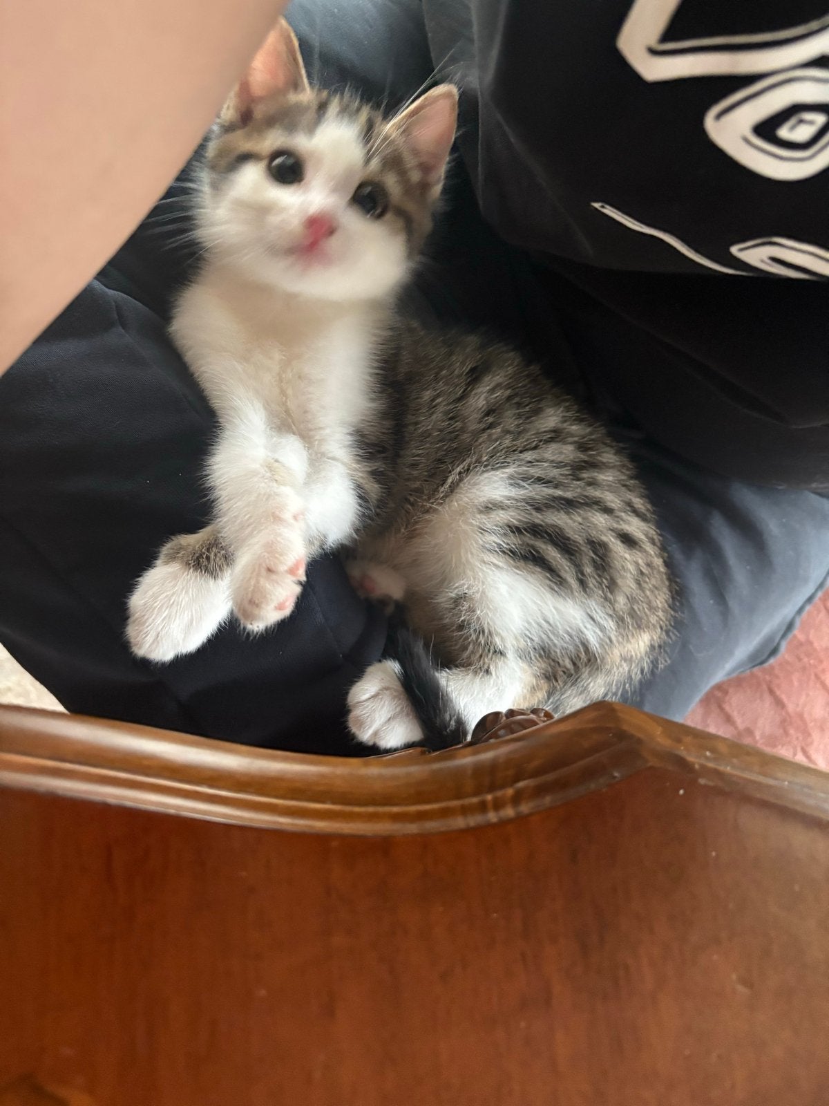 Kittentje, Poes