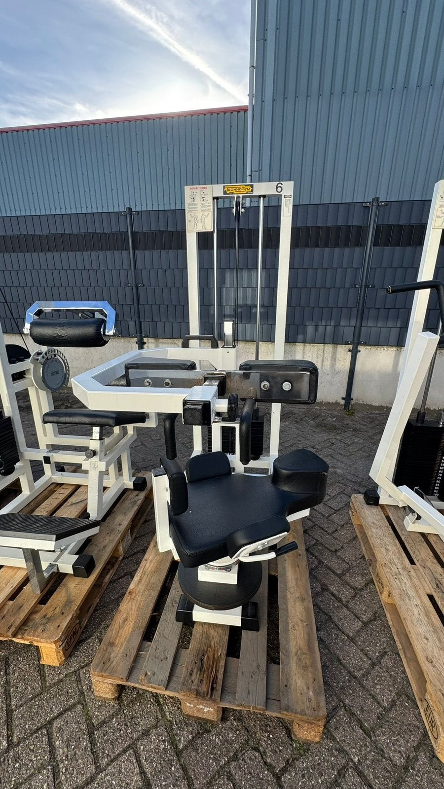 Technogym isotonic Rotary Torso, Ophalen, Gebruikt, Buik, Overige typen