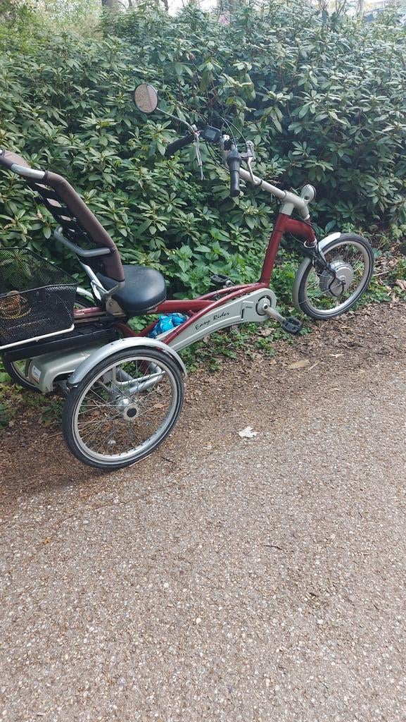 Driewieler elektrische fiets Volwassenen van raam, Fietsen en Brommers, Fietsen | Driewielfietsen, Ophalen
