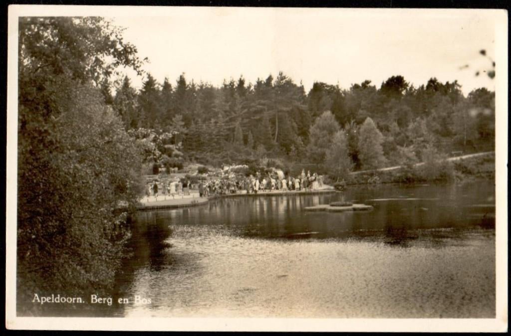 Oude Ansicht - Apeldoorn - Berg en Bos - Gld., Ophalen of Verzenden, 1940 tot 1960, Ongelopen, Gelderland