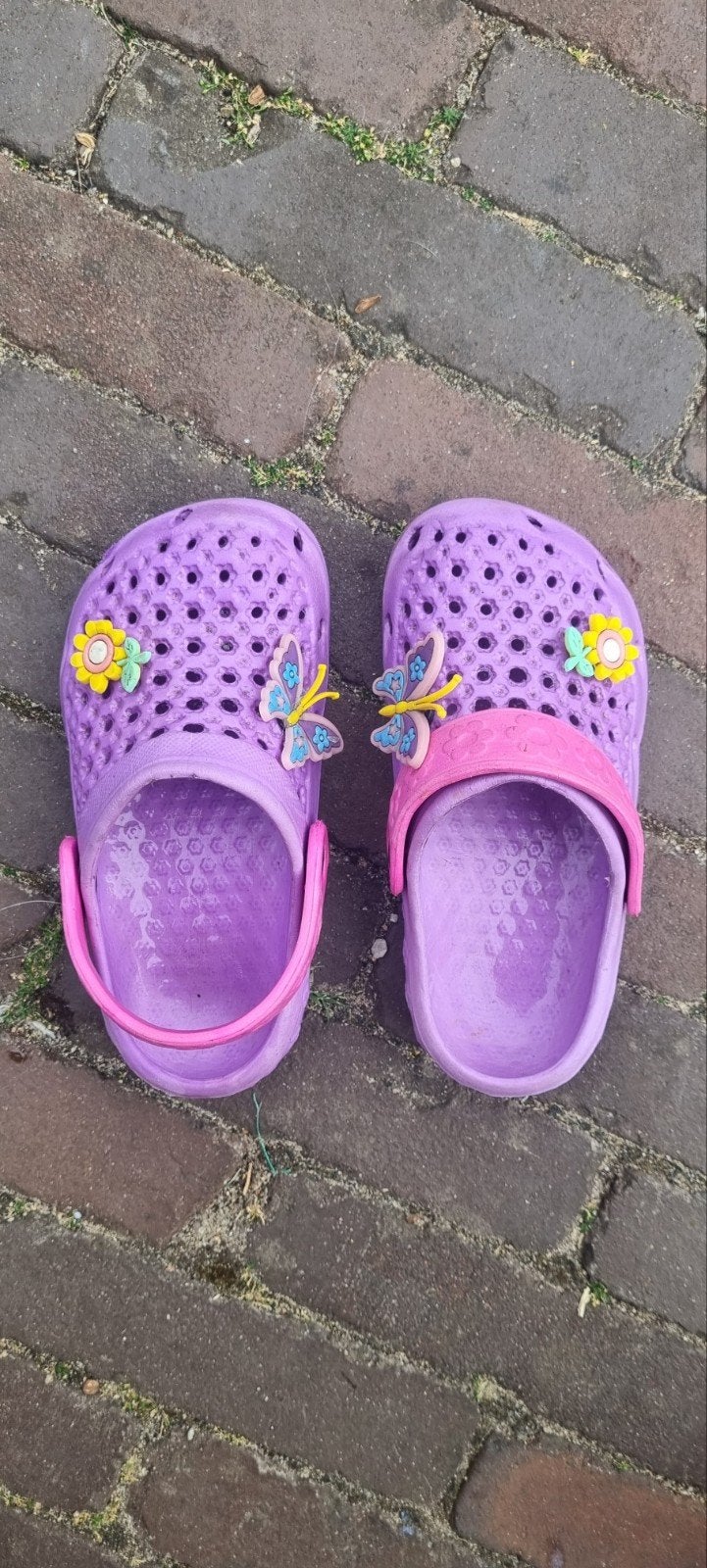 Leuke paarse klompjes maat 26, Ophalen of Verzenden, Gebruikt, Meisje, Overige typen