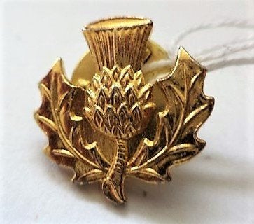 Nieuwe Schotse Distel steekbroche, verguld (7948-5544), Sieraden, Tassen en Uiterlijk, Ophalen, Nieuw, Goud, Overige materialen