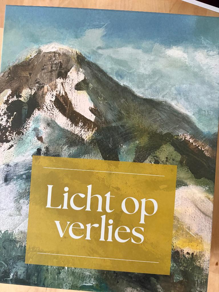 Licht op verlies, Boeken, Psychologie, Marjolien Meijer, Ophalen of Verzenden, Zo goed als nieuw, Overige onderwerpen