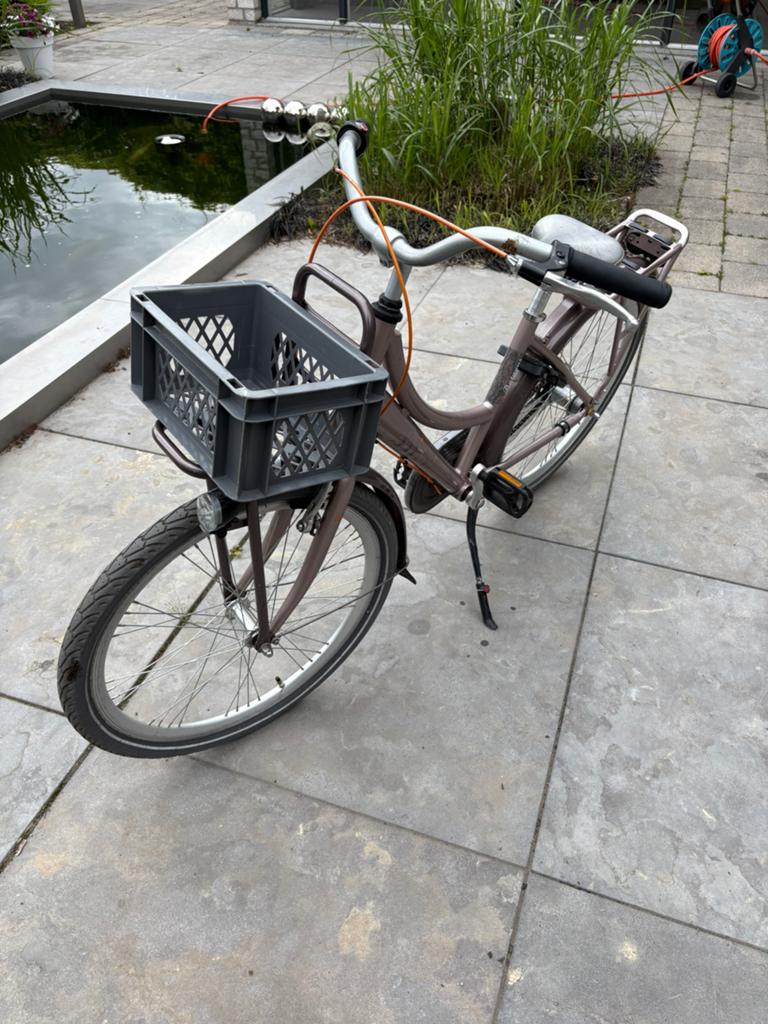 24 inch Batavus Diva, Ophalen, Gebruikt, 20 inch of meer