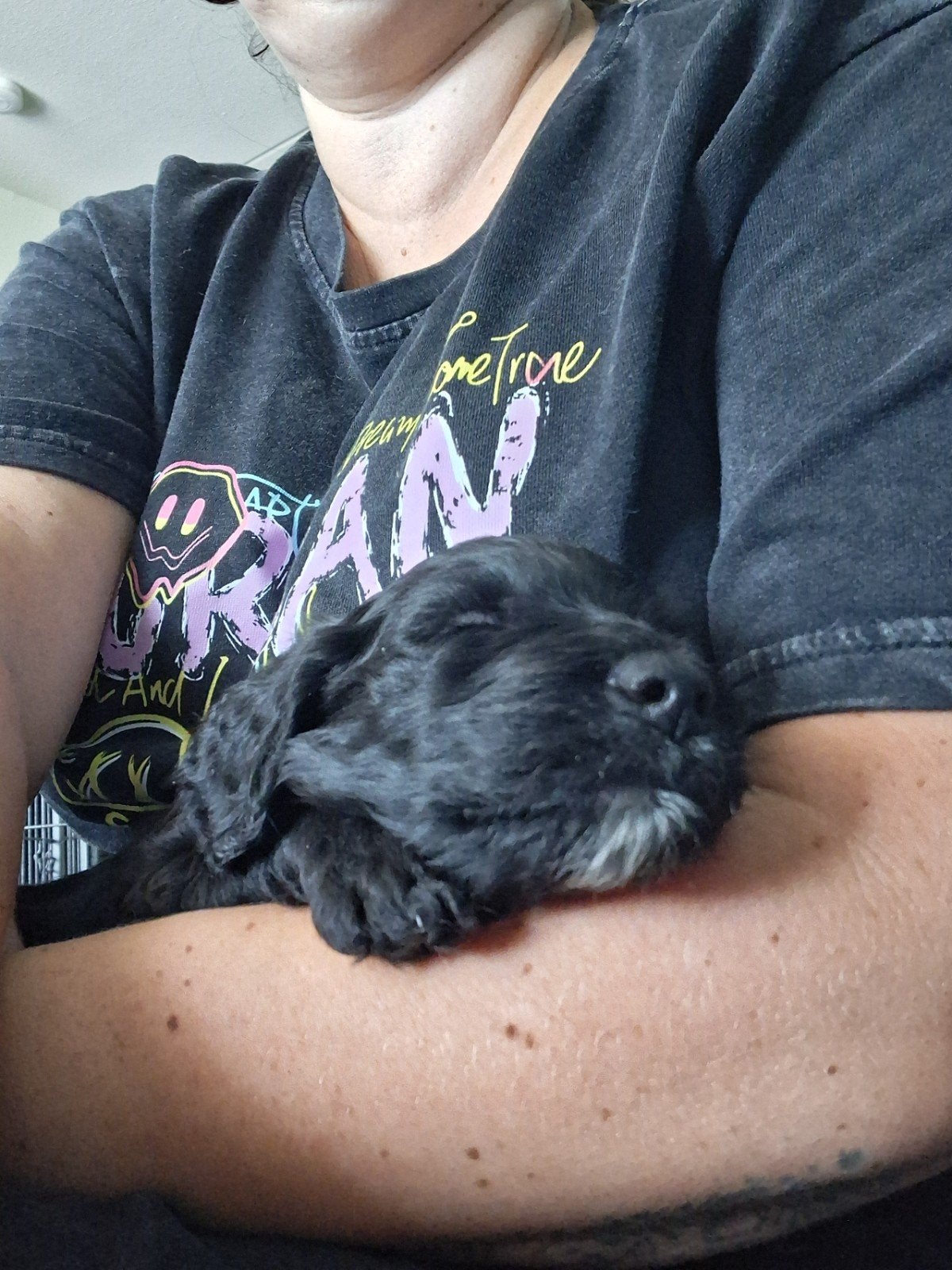 Mooie lieve labradoodle pups zoeken hun for ever home 🐾, Dieren en Toebehoren, Honden | Retrievers, Spaniëls en Waterhonden, Overige rassen
