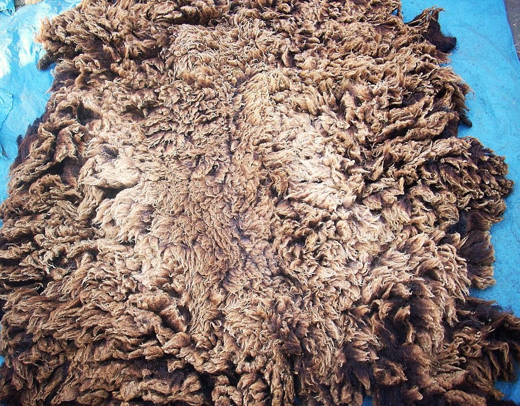 schapenvachten vachtvilten wol schapenwol vachten vilt, Ophalen of Verzenden, Nieuw