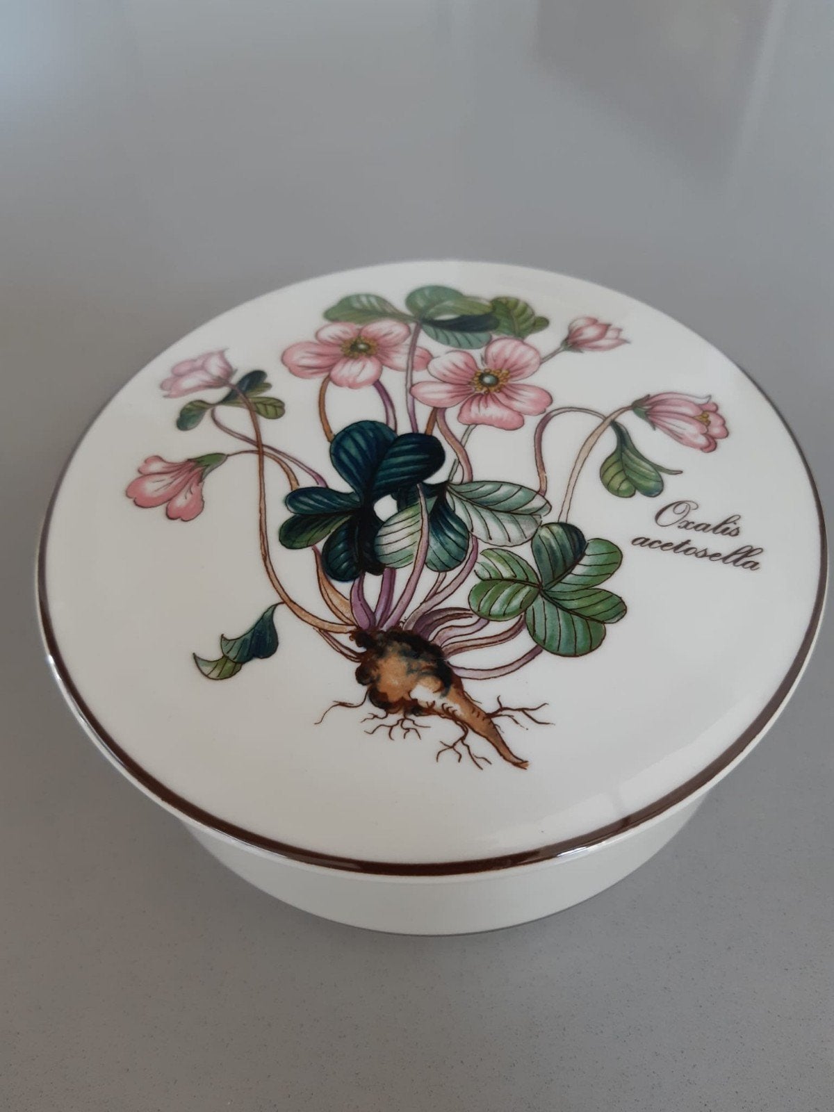 Dekseldoos Villeroy en Boch Botanica, Ophalen of Verzenden, Zo goed als nieuw, Porselein, Overige stijlen