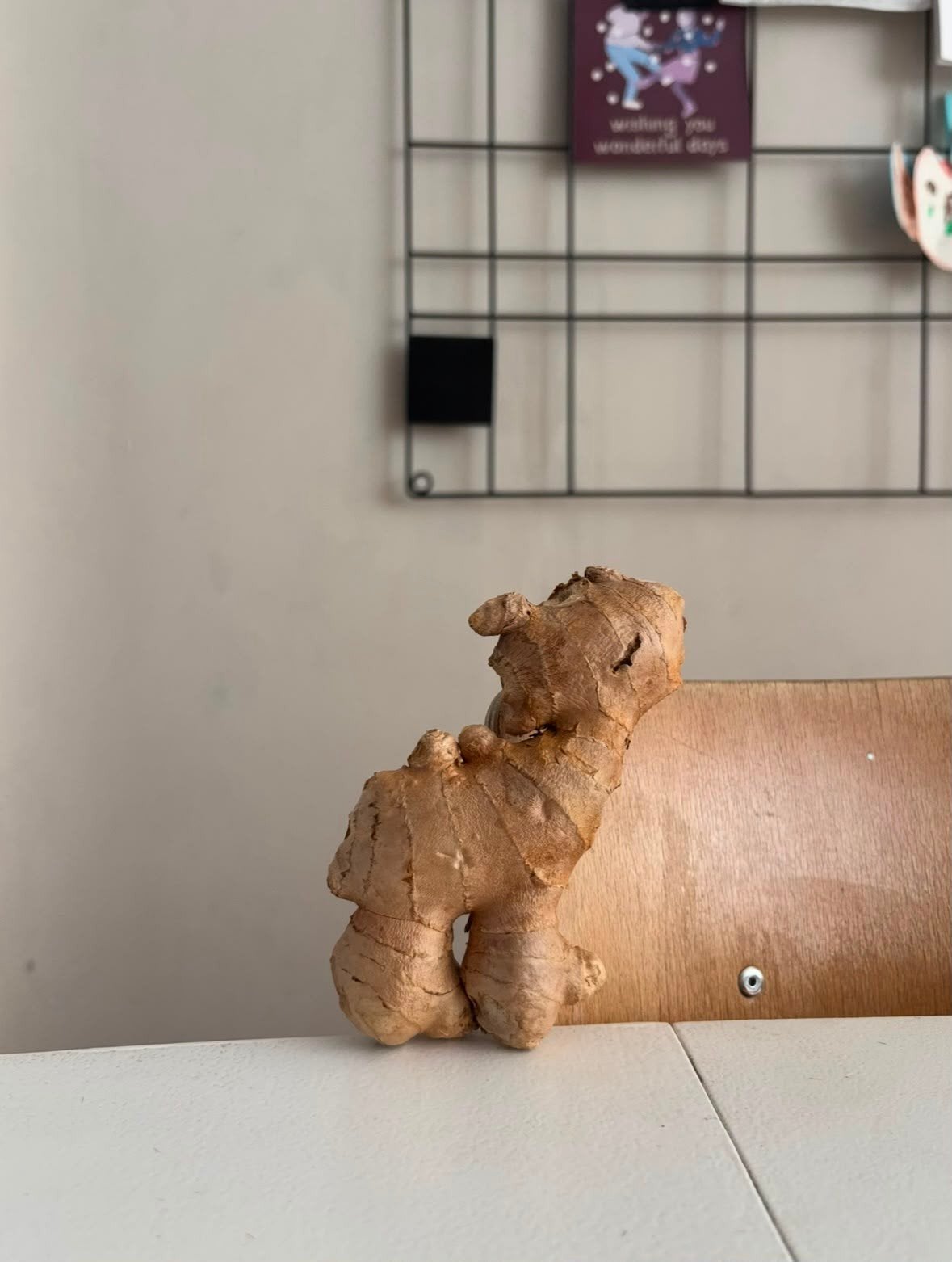virale kameel gember, Antiek en Kunst, Ophalen
