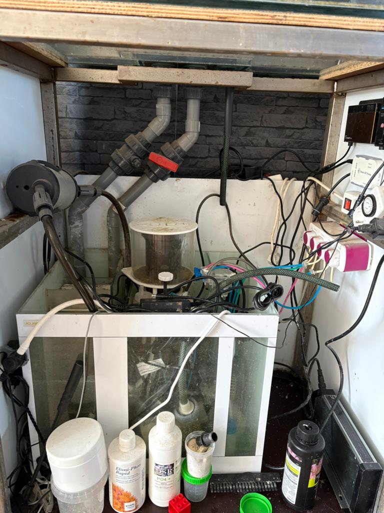 Zeeaquarium te koop, Ophalen of Verzenden