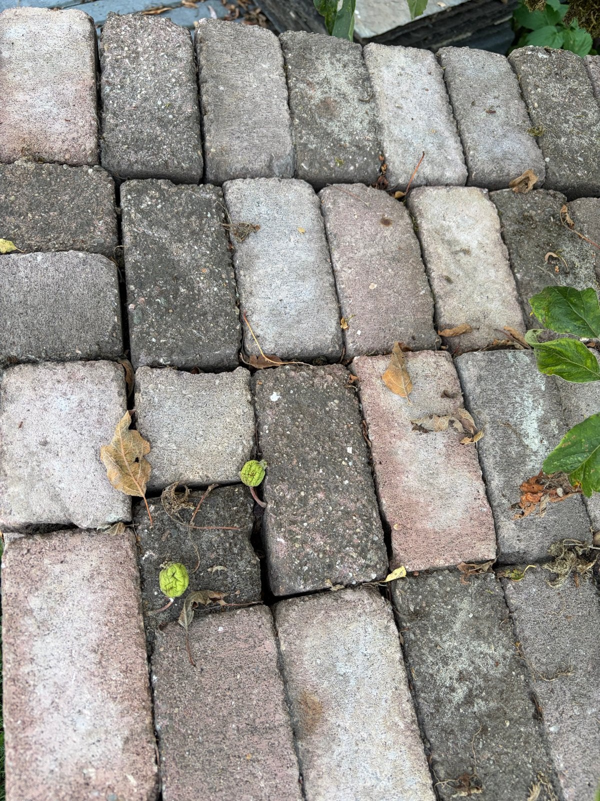 Gebruikte betonnen klinkers voor tuin of oprit, Tuin en Terras, Tegels en Klinkers, Ophalen, Gebruikt, Klinkers, 10 m² of meer