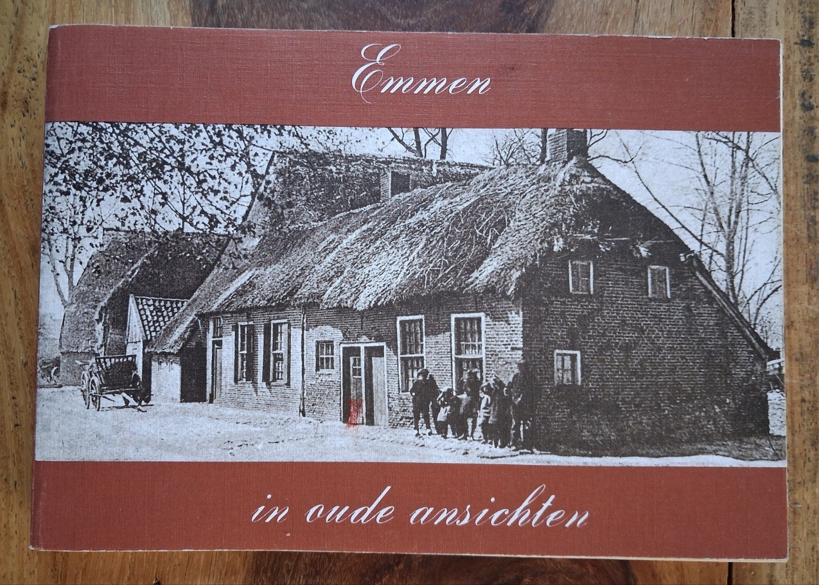 Emmen in oude ansichtkaarten, Boeken, Geschiedenis | Stad en Regio, Ophalen of Verzenden, Zo goed als nieuw