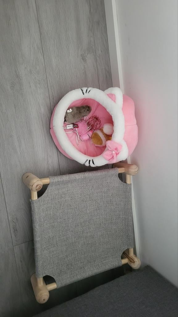 Katten bed, Dieren en Toebehoren, Ophalen