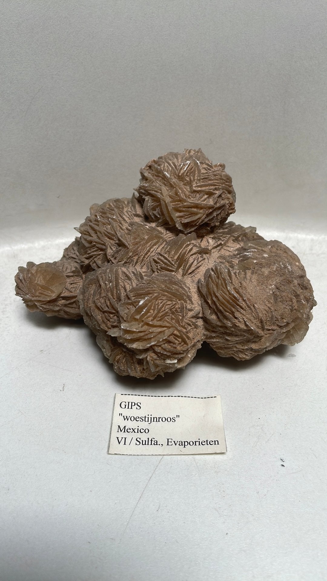 Gips Woestijnroos Mineraal uit Mexico - 14 cm breed, Verzamelen, Mineralen en Fossielen, Mineraal, Ophalen of Verzenden
