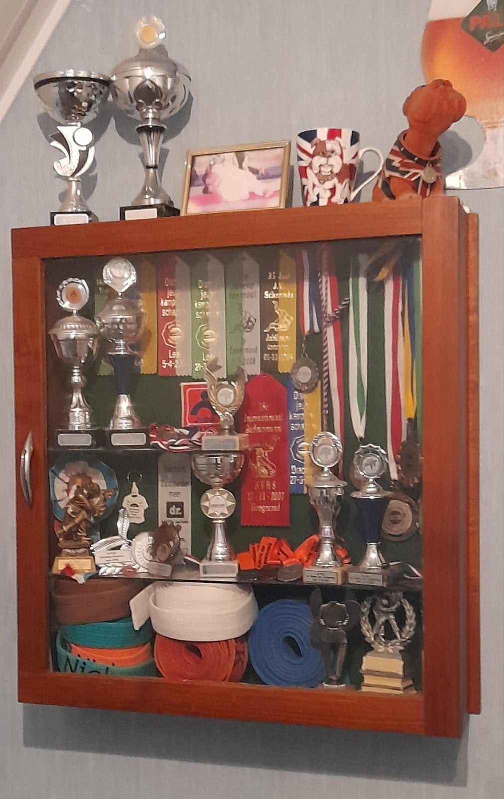 prijzenkast/bekerkast/trofeeën kast, Antiek en Kunst, Curiosa en Brocante, Ophalen