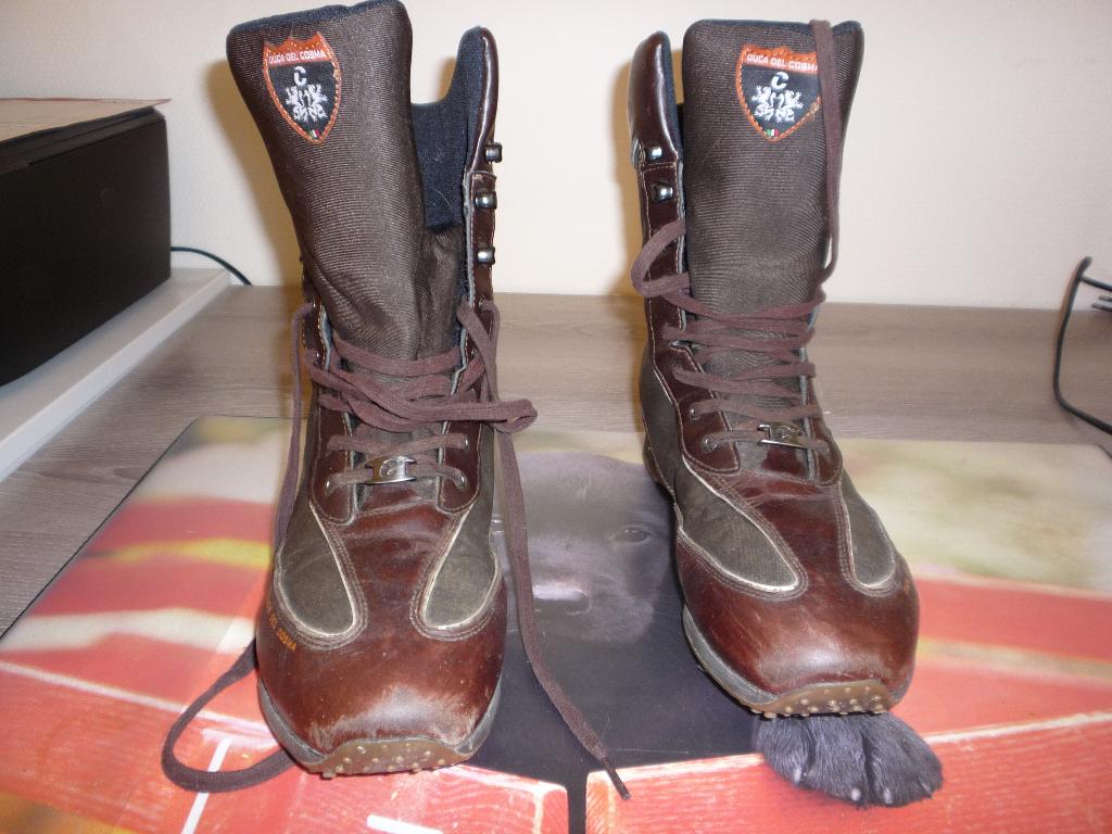 Golfschoenen dames Duca del cosma, Sport en Fitness, Golf, Ophalen, Zo goed als nieuw, Schoenen, Overige merken