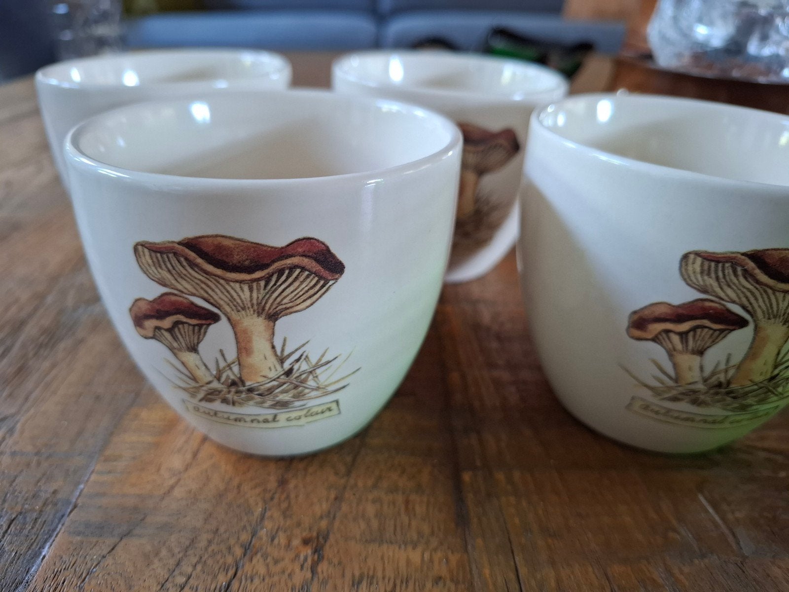 Autumnal Colour servies bekers eierdop World of Jet, Overige typen, Ophalen of Verzenden, Zo goed als nieuw, Overige stijlen