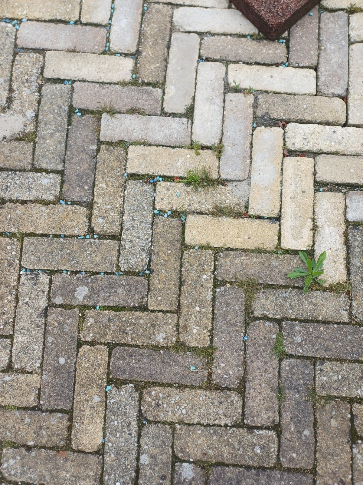 Gratis bestrating 25m2, Ophalen, Gebruikt, Beton, Klinkers