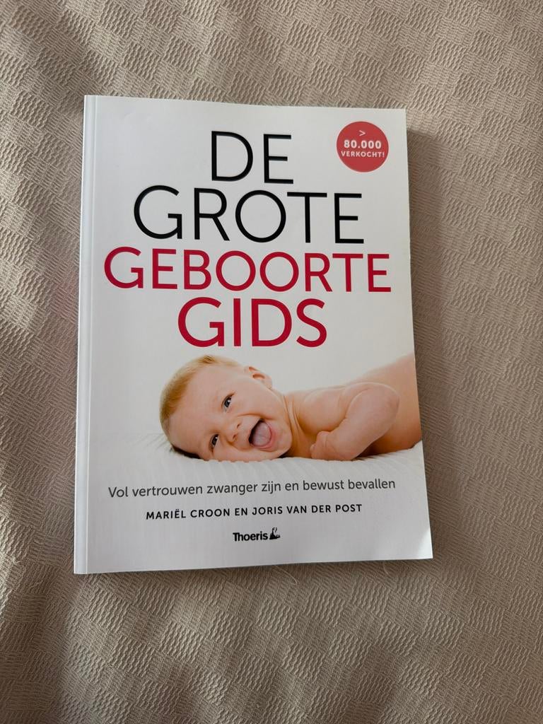 De Grote Geboortegids: Zwanger zijn en bewust bevallen, Ophalen of Verzenden, Zo goed als nieuw, Zwangerschap en Bevalling