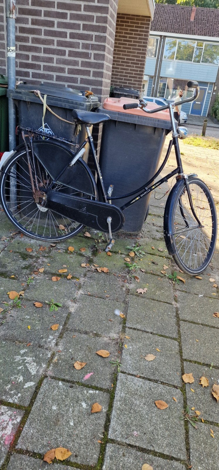 Gazelle omafiets - Klassiek en betrouwbaar, Fietsen en Brommers, Terugtraprem, Ophalen of Verzenden, Gazelle, 53 tot 56 cm