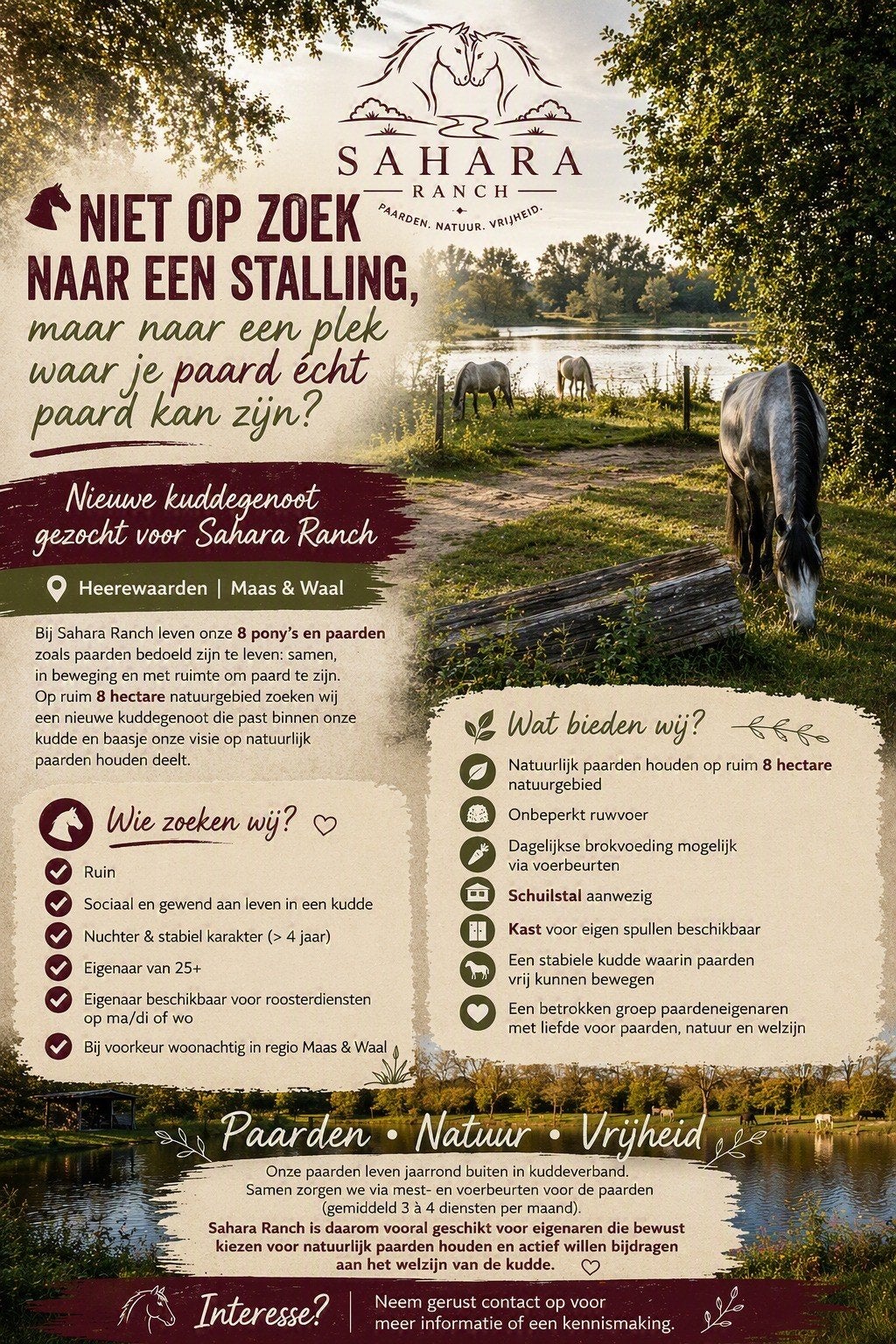 Plek in kudde voor (bijvorkeur) ruin, Dieren en Toebehoren, Stalling en Weidegang, Stalling, 1 paard of pony