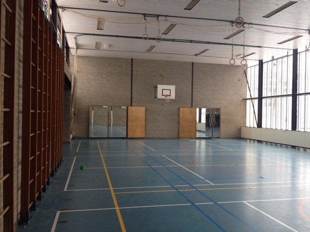 Spiegel (vouw) wand circa16m2, Ophalen, Gebruikt, Overige typen