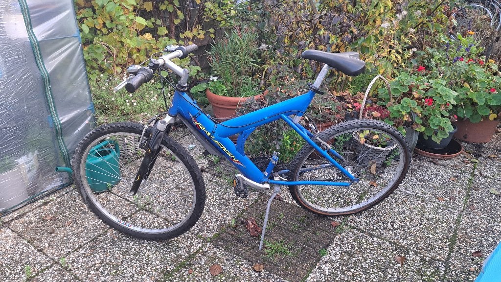 Raleigh mountainbike 26`` (Z261-33), Ophalen, Gebruikt, Overige merken