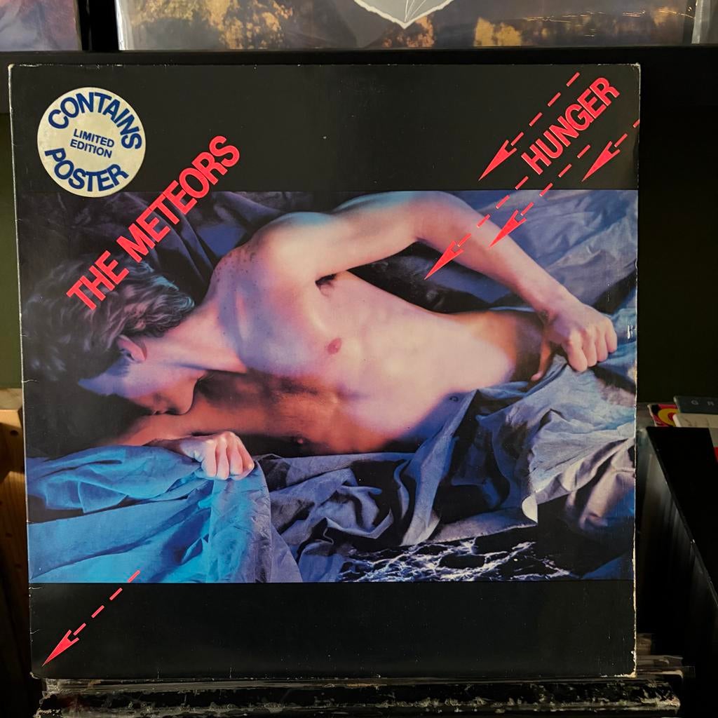 The Meteors - Hunger, Ophalen of Verzenden, Gebruikt, 12 inch