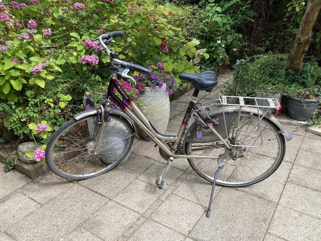 Damesfiets Koga, model Forrest Lady, Gebruikt, Velgrem, Versnellingen, 50 tot 53 cm