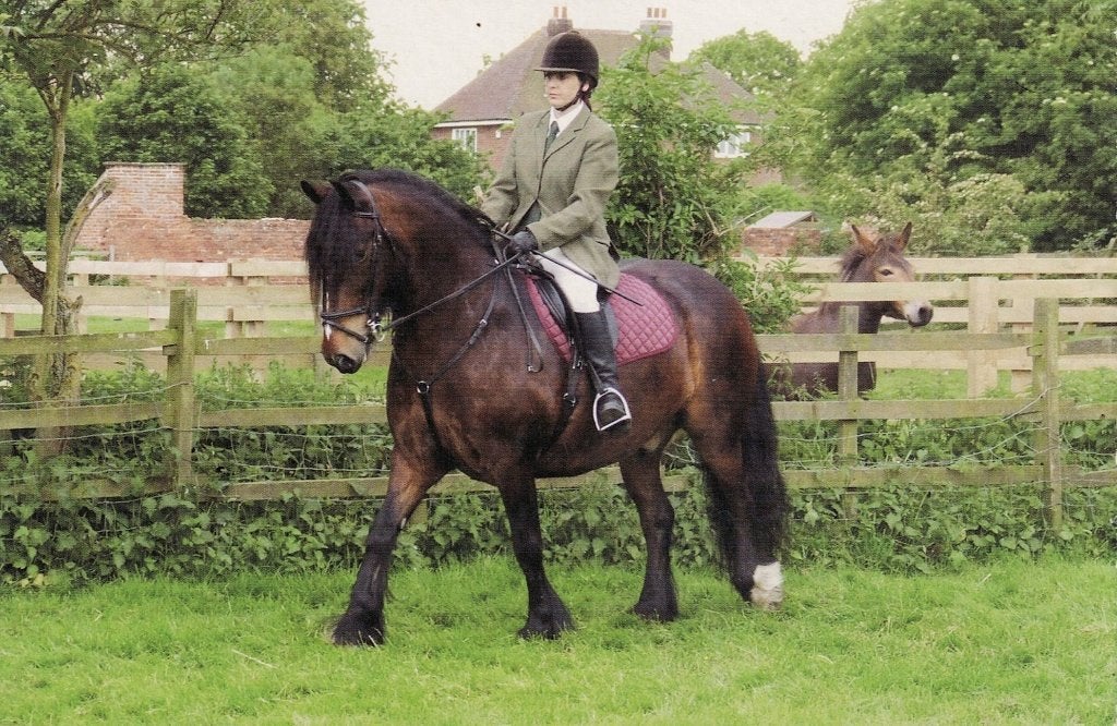 Adam a 11 year old  Dales pony 553, Verzamelen, Ophalen of Verzenden, 1980 tot heden, Ongelopen, Paard
