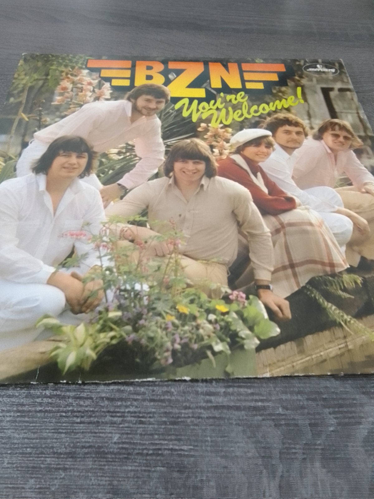 BZN - You're Welcome! LP (Pop, 1978), Ophalen, LP, Gebruikt, Pop