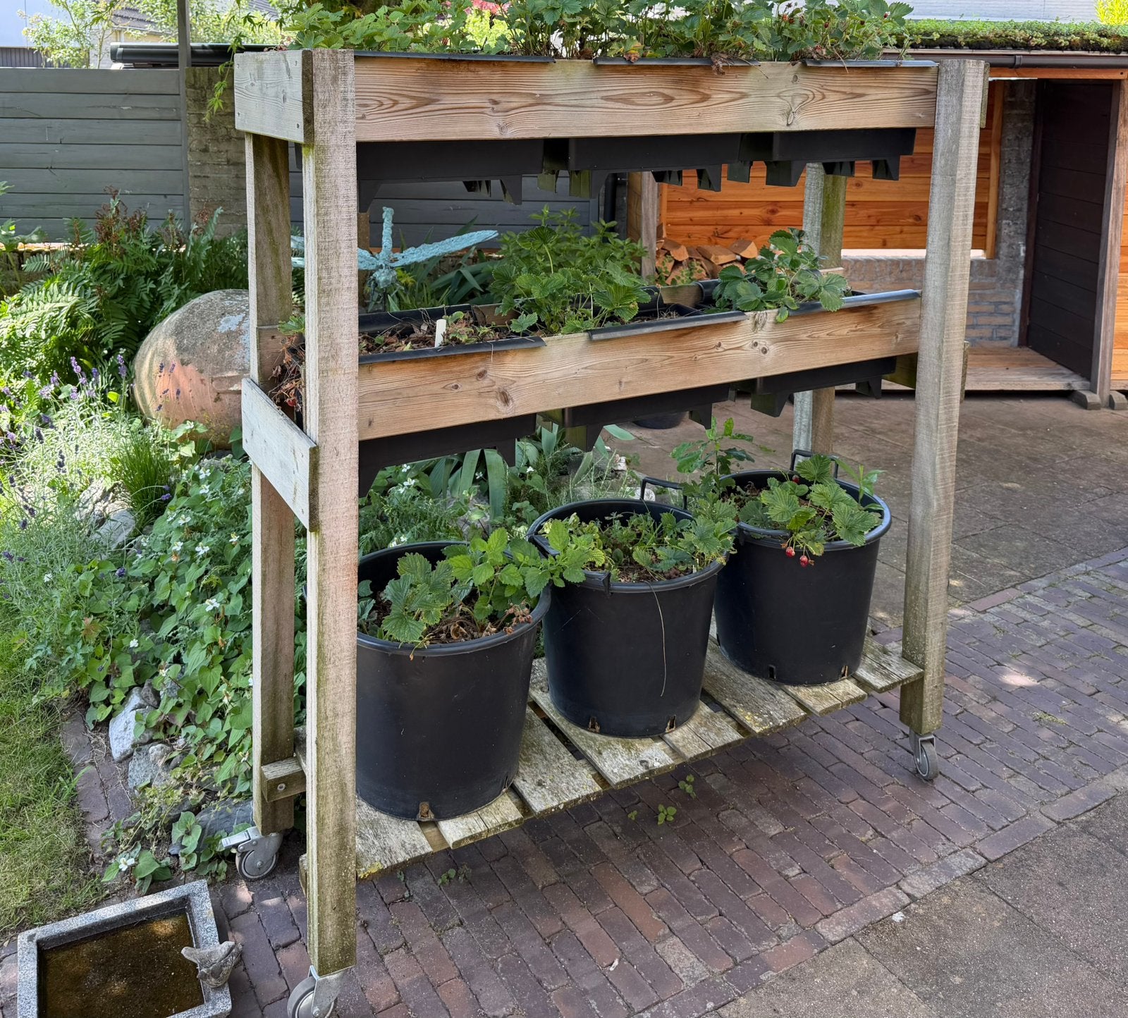Twee stuks verrijdbare stellages met bato bakken, Ophalen, Gebruikt, Rechthoekig, Hout