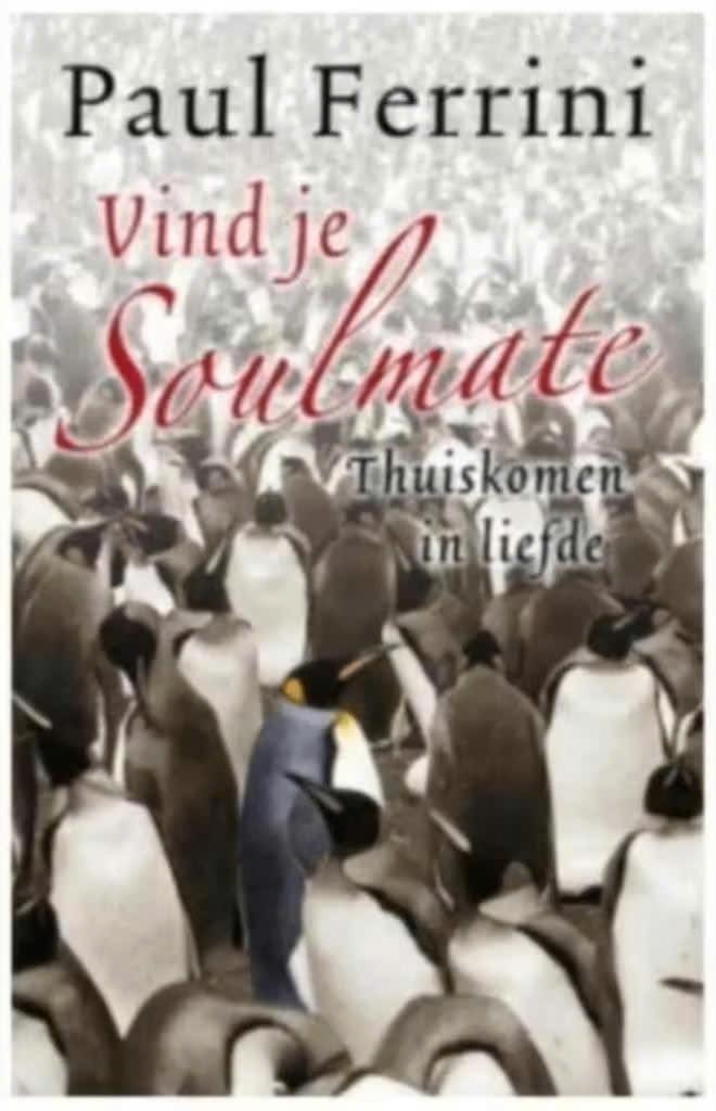 Vind je soulmate (thuiskomen in liefde) Paul Ferrini, Ophalen of Verzenden, Zo goed als nieuw