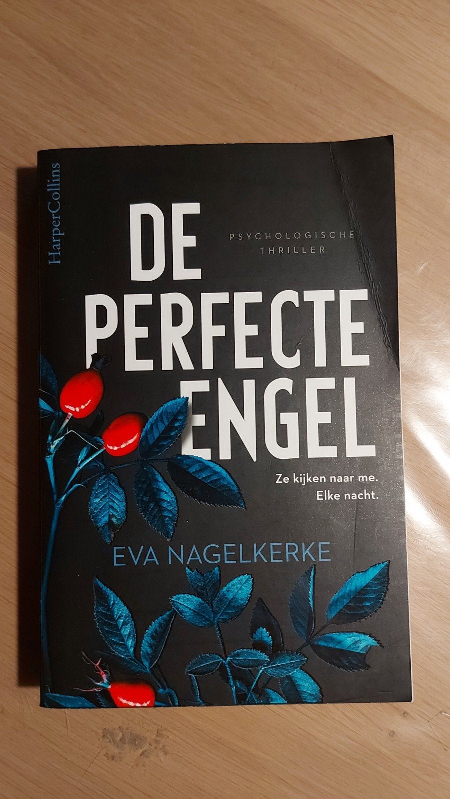 BB1: De Perfecte Engel - Psychologische Thriller, Ophalen of Verzenden, Zo goed als nieuw, Eva Nagelkerke, Nederland