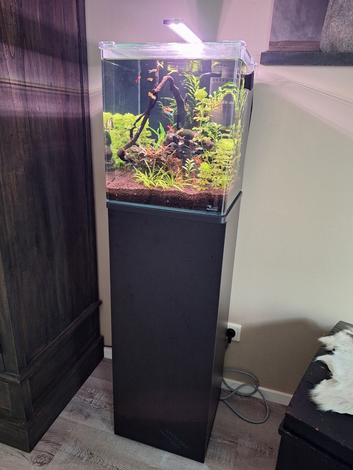 Aqualantis nano cubu 44 liter compleet., Ophalen