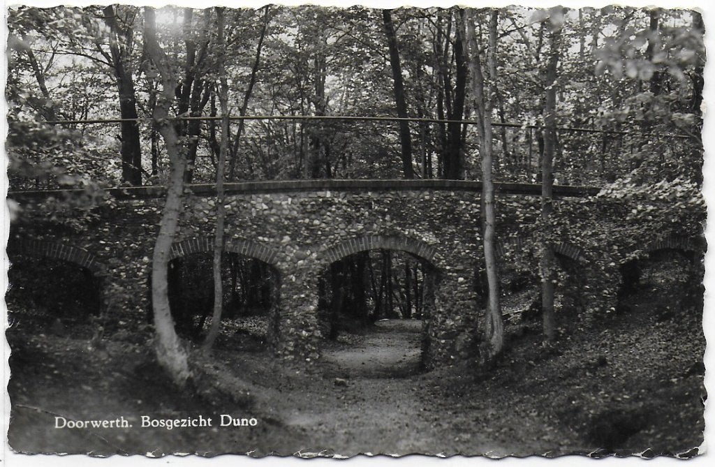 Doorwerth Bosgezicht Duno Oude Ansichtkaart( B1252 ) --1958, Ophalen of Verzenden, 1940 tot 1960, Gelopen