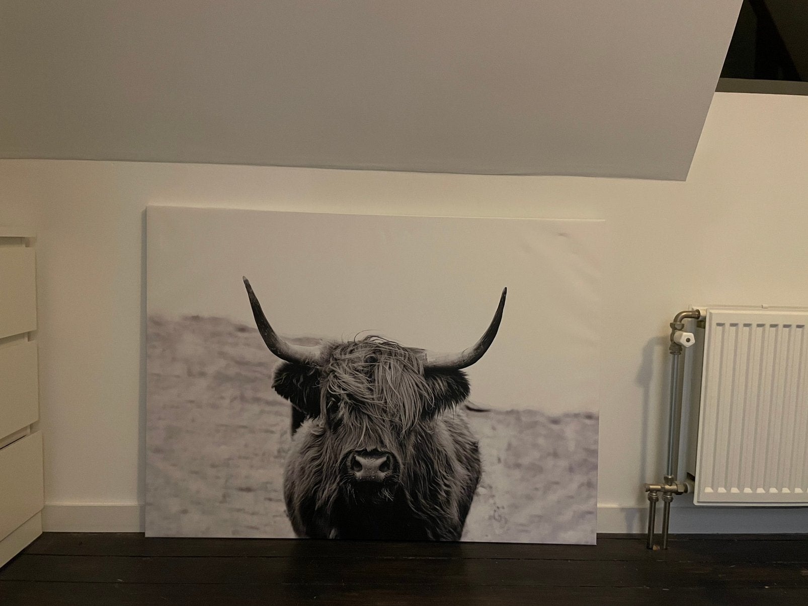 Schilderij - Scottish Highland, Ophalen