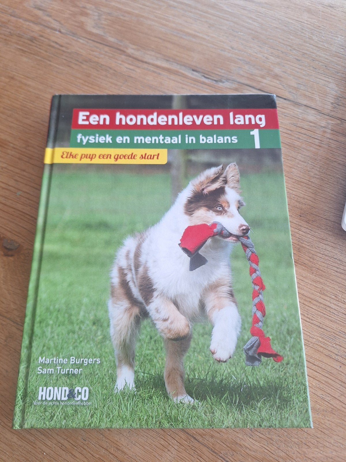 Martine Burgers - Elke pup een goede start, Honden, Ophalen of Verzenden, Zo goed als nieuw, Martine Burgers; Sam Turner