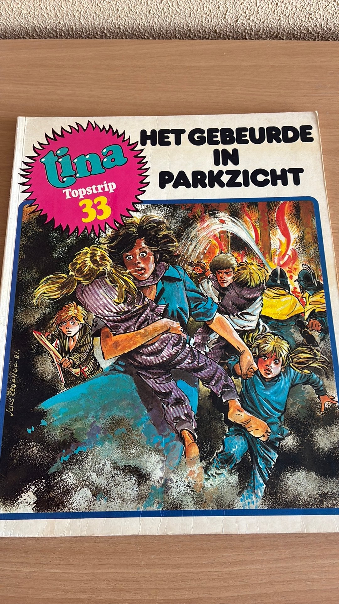Tina Topstrip 33: Het Gebeurde in Parkzicht, Eén stripboek, Ophalen of Verzenden, Gelezen